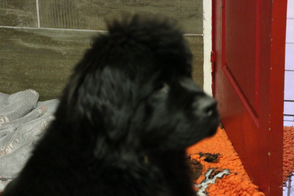 Sandy ollson newton john du domaine du Taennchel