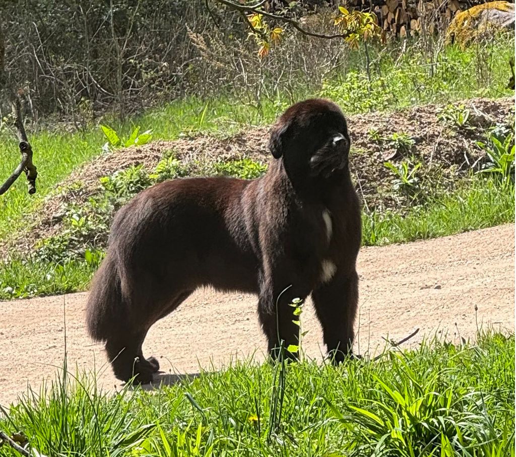 Tempete dans la nuit du domaine du Taennchel