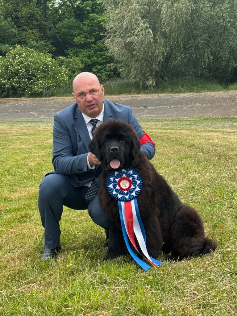 Veni vidi vici De la baie de pempoul