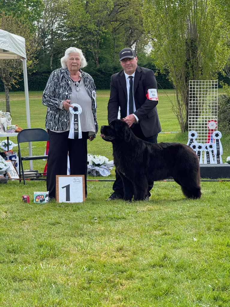 CH. Uma-brenda du domaine du Taennchel